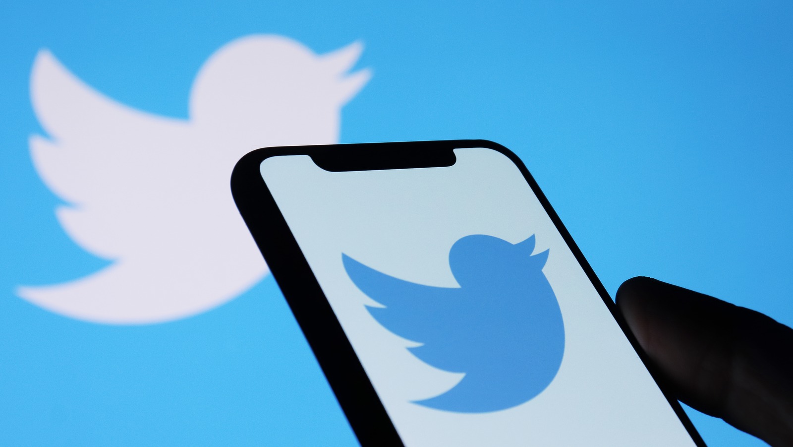 Twitter Finally Rolls Out Two Important Accessibility Enhancements